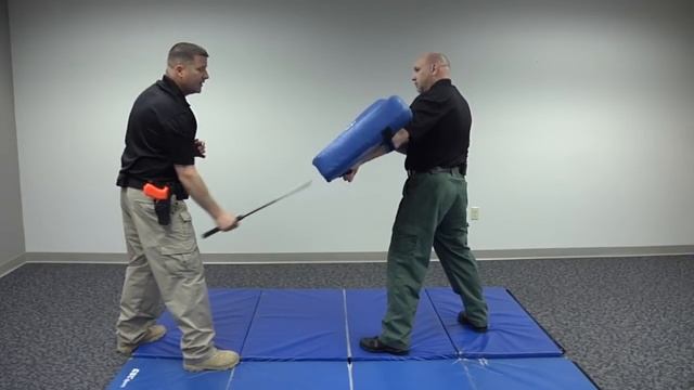 ASP Techniques: Defensive Tactics смотреть онлайн