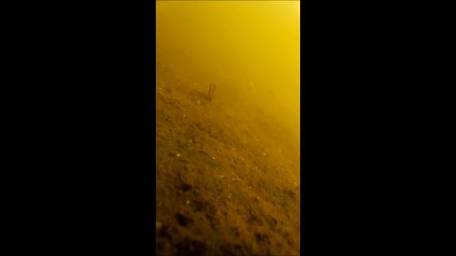 Под водой р Уперта смотреть онлайн