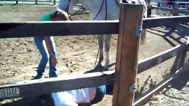 оседлать лошадь смотреть онлайн