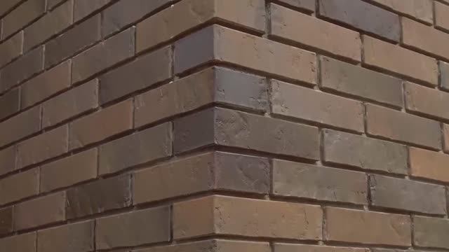 Обзор на облицовочный кирпич Braer (Браер) лимиттед терра