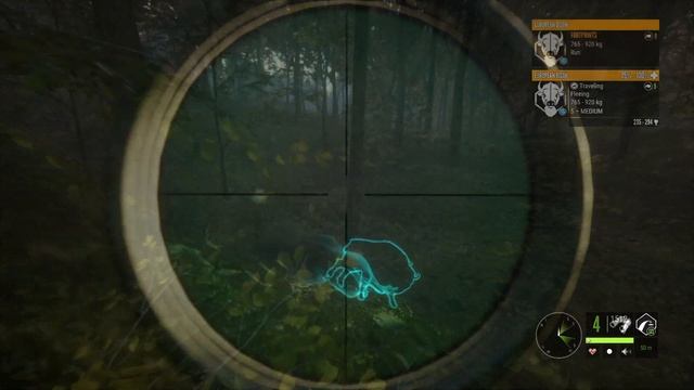 Hunting Hirschfelden's Fields for Rabbits & More! смотреть онлайн