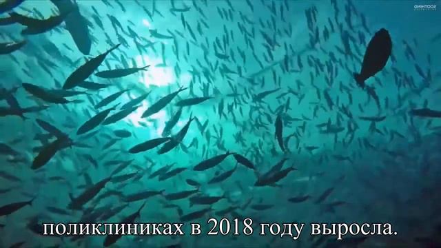 Четверть врачей в России получали указания навязывать платные услуги  — Статья