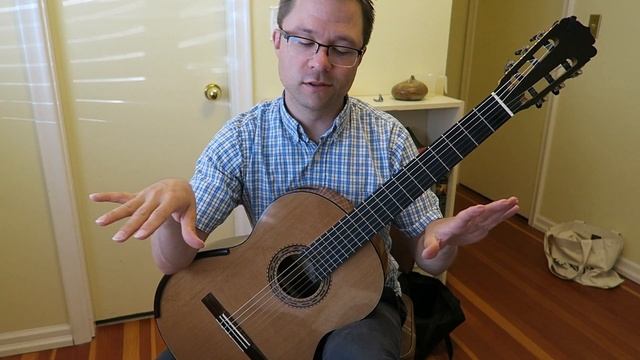 Lesson: Waltz by Carulli Op.121, No.1 for Guitar (Easy) смотреть онлайн