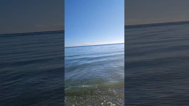 Архипо-Осиповка 24 января 2024 года ? Солнечный день ?️ Видео: Ольга Калитеева смотреть онлайн