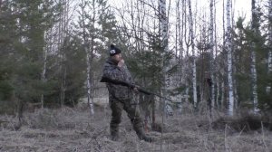 Охота на вальдшнепа весной на тяге! Охота с "Чемпионом".