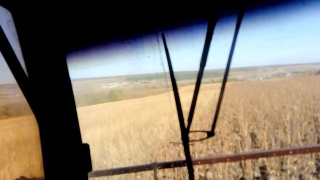 Уборка подсолнечника 2018 смотреть онлайн