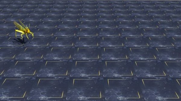 CAT GAMES - CATCHING GRASSHOPPER! Entertainment Video for Cats to Watch & Enjoy (4K 60 FPS)