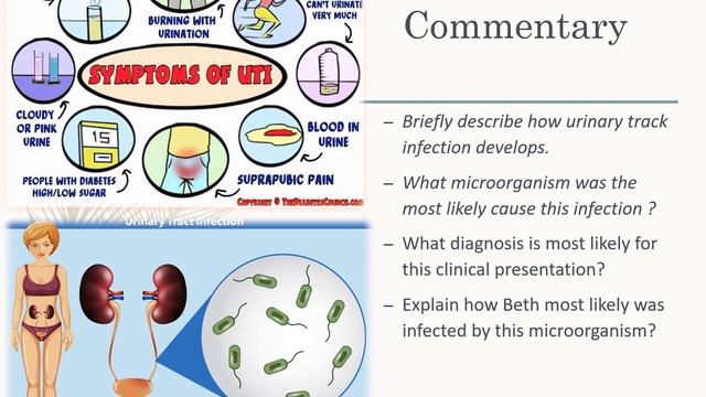 Patho Case Study смотреть онлайн