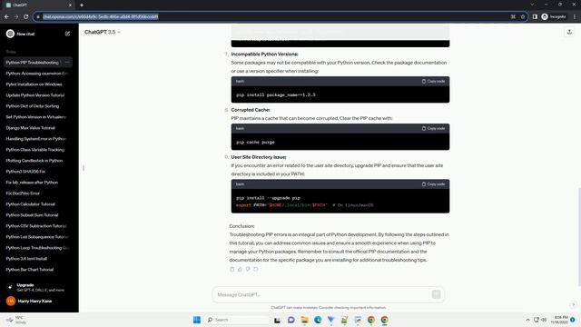 Python PIP causes error смотреть онлайн