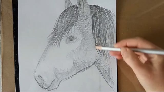 How to Draw a Horse Head смотреть онлайн