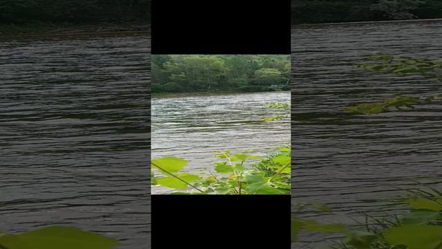 река Она смотреть онлайн