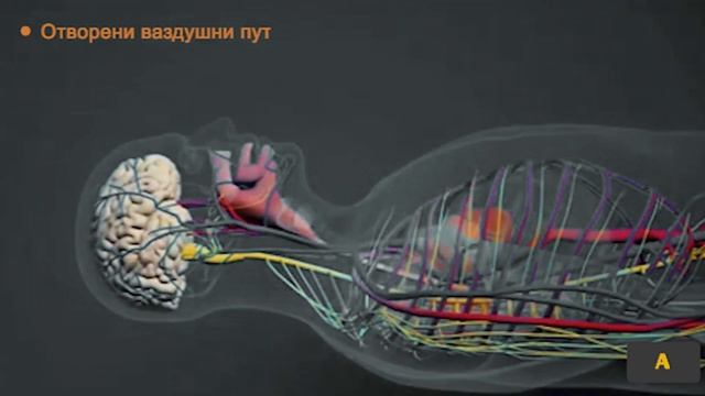 Научите како да користитеАутоматски спољни #дефибрилатор (АЕД)и да урадите ЦПР смотреть онлайн