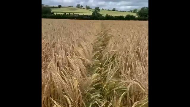 280Гц Для схуднення та для прискорення метаболізму 280Hz Frequency Pure Sound 280Hertz Frequency