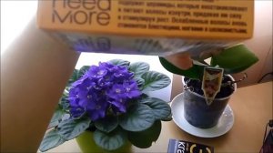 Фаберлик краска KRASA ТОН 8.8 клубничный блонд