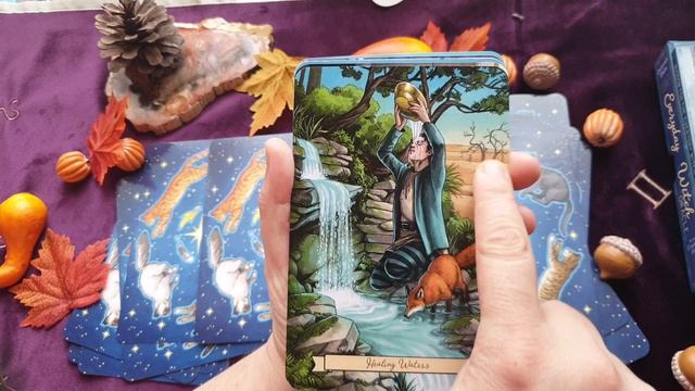 ? Everyday witch ORACLE? NOUVEAU? смотреть онлайн