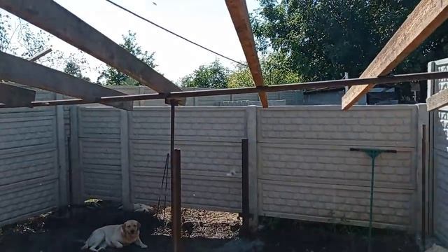 Свинарник Из Евро Забора ,Самый Дешёвый Сарай Для Свиней смотреть онлайн