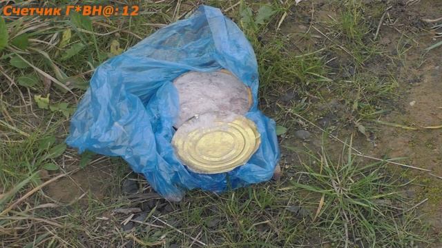 Едим сюрстремминг (surströmming), чистим желудки смотреть онлайн
