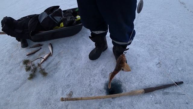 Рыбалка на хариуса на Байкале Вновь подфартило смотреть онлайн