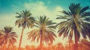 Регги - Музыка