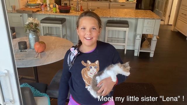My New Ragdoll Kittens! | CUTEST RAGDOLL KITTENS смотреть онлайн