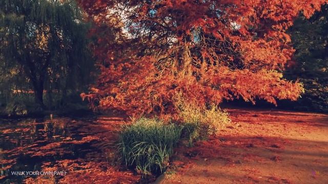 333 Hz Ascended Masters Meditation Music | Angel Frequency Healing | Transcendental Vibration смотреть онлайн