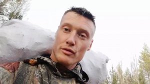 Сколько можно заработать на кедровых шишках?