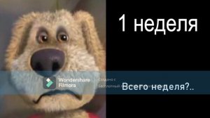 До конца лета осталось: