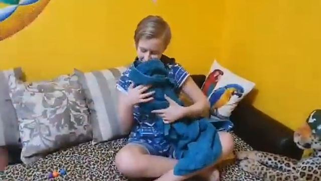 Душ и объятья!) Какаду Соломоша купается,попугай ара,Гиацинтовый Ара, попугай купается. смотреть онлайн