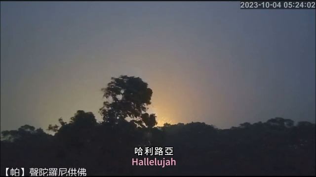 《Hallelujah 哈利路亞》Cover by Lucy Thomas (善不善法平等，逆境修智，順境行德/在颱風夜的聖觀音.迎向晨曦)(中英字幕CHI+ENG Lyrics on Screen смотреть онлайн