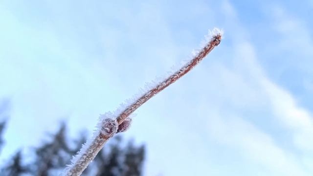 Зима! Эдуард Хиль смотреть онлайн