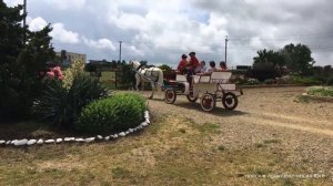 Казачья станица Атамань | Музей под открытым небом | Жизнь и быт казаков на Тамани