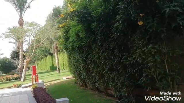 Albatros Aqua Vista Resort 4*. Albatros Aqua Park 4* Хургада 2021.Египет. Территории отелей смотреть онлайн