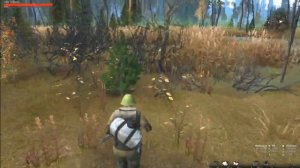 Легкий фарм верлиок  Stay Out | Stalker Online. 1 миллион за 20 минут.