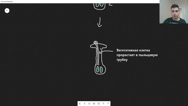 BioFamily: Двойное оплодотворение за 17 минут