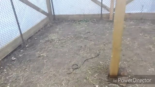 Теплица готова, ну почти. смотреть онлайн