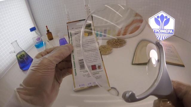 Тыква Карета для Золушки. Семена Алтая смотреть онлайн