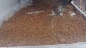 Подготовка грядки для посадки лука ( на перо)