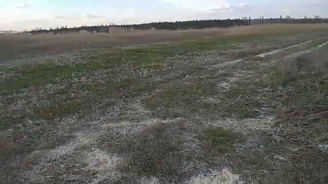 037 Создание#плодородной#почвы на песчаных солончаках смотреть онлайн