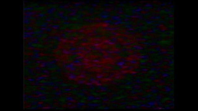 Scanner - Wizard Force [320kbps] смотреть онлайн