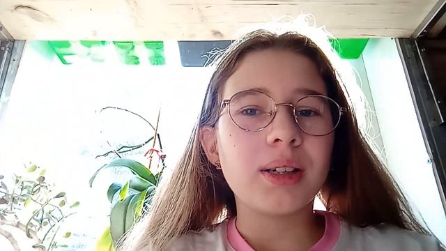 рассказываю про контент)блин оцени пж, там тел упал... смотреть онлайн