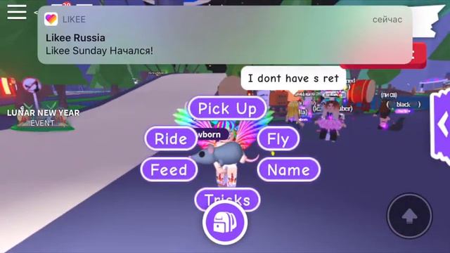 Китайский Новый год! В Adopt Me/Roblox смотреть онлайн