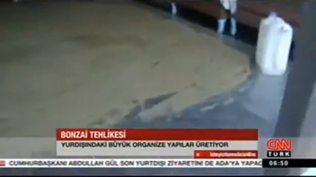 Bonzai Olduruyor смотреть онлайн