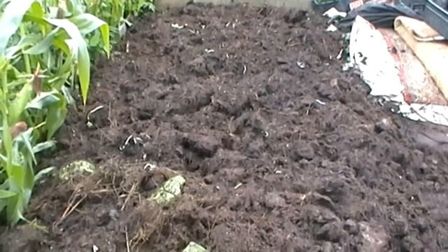 КАК ВОРОШИТЬ ЧЕРВИВЫЕ ДОМИКИ И СИЯТЬ СВОЕЙ ЗАКВАСКОЙ смотреть онлайн