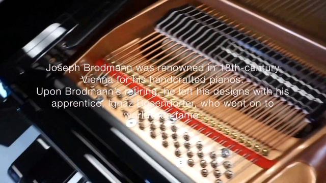 Brodmann C148 - Grand Pianos PianoNation Michigan смотреть онлайн