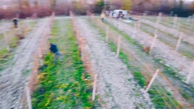 Monferrato - Unesco World Heritage смотреть онлайн