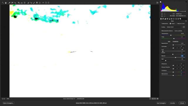 Photoshop - Basi di Camera raw смотреть онлайн