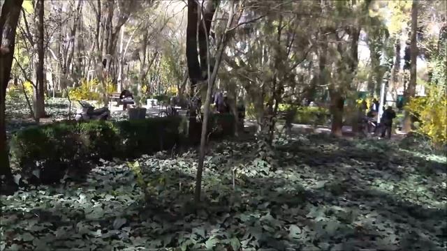 Germany to Vietnam - Moschee in Isfahan ?? und Wüstenhotel - S02E20 - Ford Transit MK1 goes east смотреть онлайн