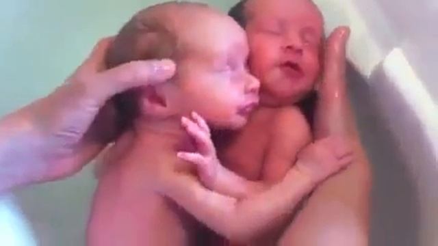 Twins react to their first bath shortly after being born смотреть онлайн