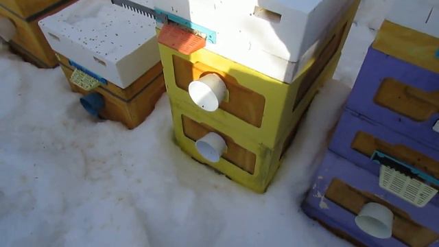 улей BienenHaus ( биненхаус ) на 8 рамок - хорошая зимовка пчел на воле , 9.03.2024 смотреть онлайн