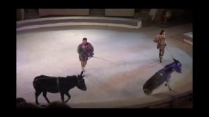 Цирк Кострома